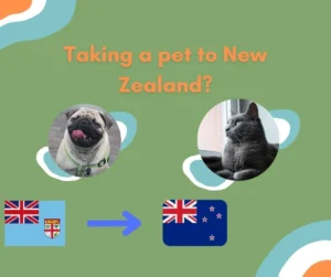Taking a pet to New Zealand from Fiji